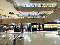 Grand Hyatt Singapore (D9), Shop House #605803831